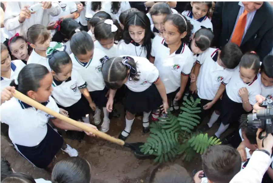 Estudiantes con uniforme y adultos plantan un helecho en el suelo del patio escolar.