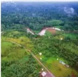 Selva amazónica deforestada vista aérea.