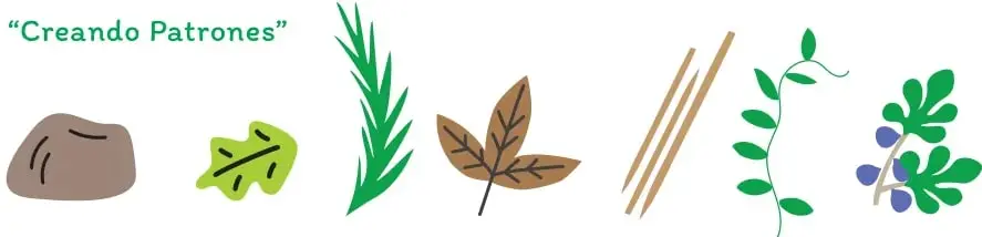 Ilustración de una piedra, una hoja verde, pasto, una hoja seca, tres ramas delgadas, una enredadera y una planta con frutos.