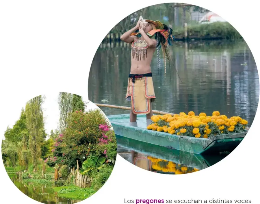 Paisaje de chinampas con árboles, arbustos con flores rosas, agua y una cerca de madera.