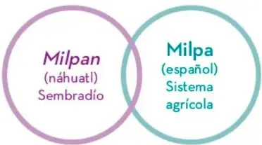 Esquema de dos círculos solapados: morado «Milpan (náhuatl) Sembradío» y verde «Milpa (español) Sistema agrícola».