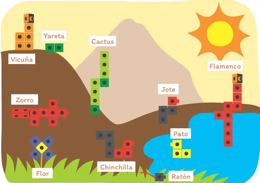 Paisaje de la Reserva Nacional Los Flamencos con un cerro, un sol, agua y pasto; sobre él hay figuras armadas con cubos multiencaje rotuladas: Vicuña y Yareta (zona alta izquierda), Cactus (centro), Zorro (izquierda media), Jote y Chinchilla (centro inferior), Flor (abajo izquierda), Flamenco y Pato (zona de agua, derecha) y Ratón (abajo centro-derecha).