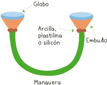 Ilustración del estetoscopio casero armado con embudos, manguera y globos.