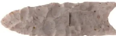 Punta de proyectil Clovis de piedra, alargada y con acanaladura.
