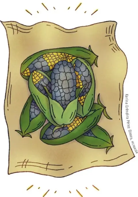 Ilustración de Karina Efrénidra Pérez: un ayate color ocre con mazorcas de maíz morado y amarillo entre hojas verdes, con rayos de luz alrededor.