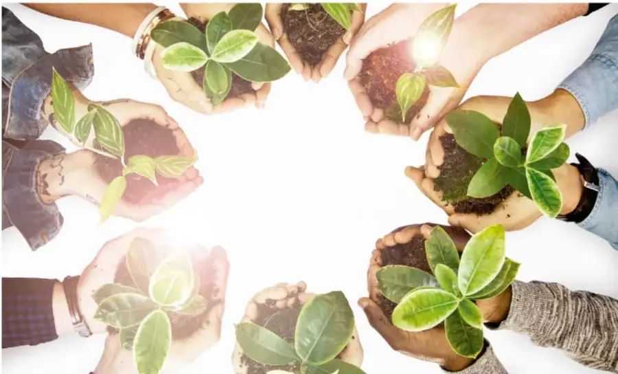 Varias manos de personas de distintas edades y contextos sostienen plantas jóvenes con tierra, formando un círculo; representa la unión comunitaria en la siembra colectiva.