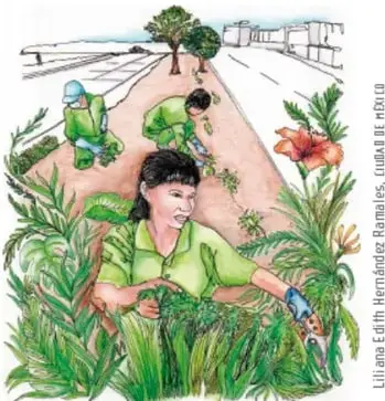 Ilustración de una jardinera con guantes trabajando entre plantas verdes y flores de un jardín junto a la calle; al fondo otras personas trabajan la tierra. Oración: «La jardinera cuida el jardín de la calle».