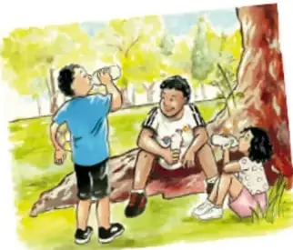 Tres niños en un parque descansando bajo un árbol, bebiendo agua de sus botellas.