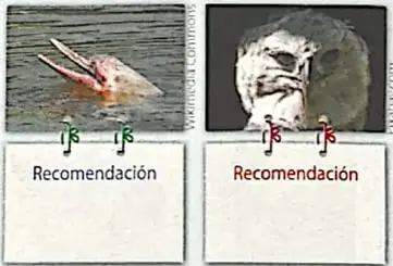Figura 5 de Lengua y Literatura 4° · 2025