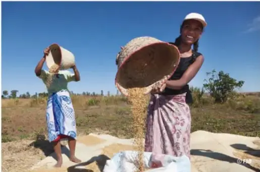 Dos mujeres de una comunidad rural ventean granos con canastas, actividad agrícola tradicional.