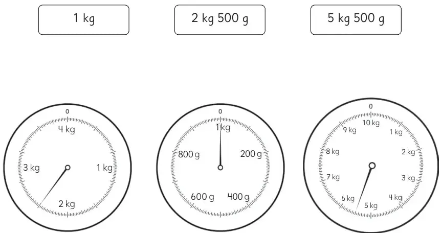 Pesa circular con escala exterior en gramos de 0 a 1000 g; la aguja señala 740 g.