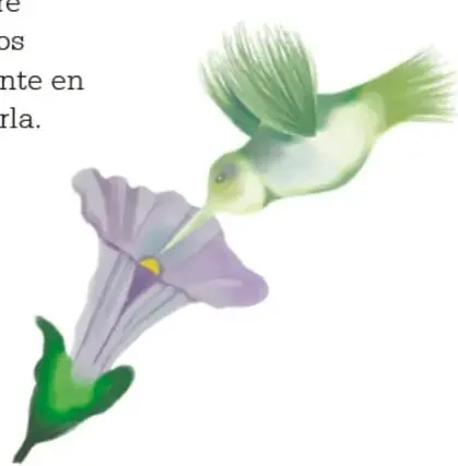 Colibrí alimentándose de una flor morada, ejemplo de polinizador.