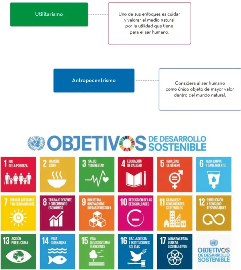 Esquema con dos recuadros: verde 'Utilitarismo' y azul 'Antropocentrismo', cada uno con su definición.