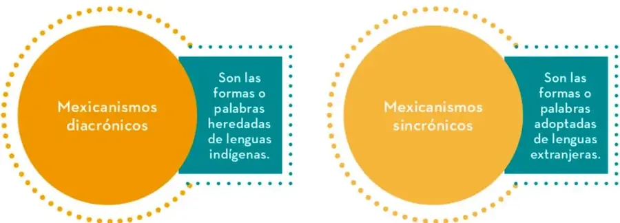 Dos esquemas circulares: círculo naranja "Mexicanismos diacrónicos" ligado a un recuadro verde "Son las formas o palabras heredadas de lenguas indígenas"; círculo naranja "Mexicanismos sincrónicos" ligado a un recuadro verde "Son las formas o palabras adoptadas de lenguas extranjeras".