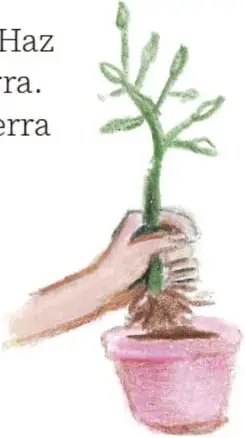 Ilustración de una mano plantando una plántula con raíces en una maceta rosa; crédito: Ana Cecilia Gaytán Ortiz, Guanajuato.