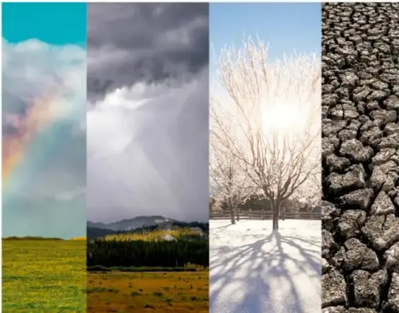 Collage de cuatro fotografías verticales que muestran distintos climas y fenómenos: cielo con arcoíris sobre campo verde, tormenta eléctrica con nubes oscuras, árbol nevado bajo sol de invierno y suelo agrietado por sequía.