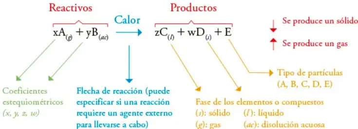 Diagrama con la ecuación genérica xA(g) + yB(ac) → zC(l) + wD(s) + E, con llamadas que señalan coeficientes estequiométricos, reactivos, productos, flecha de reacción con 'Calor', fases de la materia y símbolos de sólido/gas.
