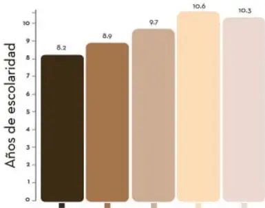 Gráfica de barras sobre escolaridad por color de piel.