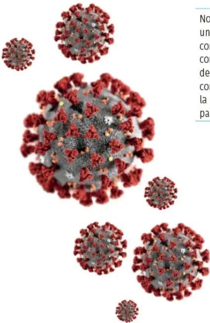 Ilustración de varias partículas de coronavirus con su característica forma esférica y proyecciones de proteínas que recuerdan una corona.