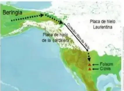 Megafauna del Pleistoceno (mamut, tigre dientes de sable, dodo, águila).