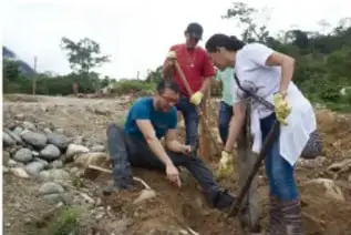Grupo de personas plantando árboles o trabajando en el suelo en una zona deforestada.