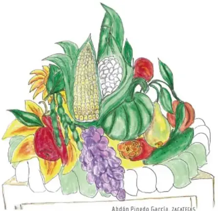 Ilustración colorida de una canasta con productos de la milpa y frutas: mazorcas de maíz, chiles, uvas, calabaza, tomate y hojas verdes, sobre una mesa de madera. Ilustración de Abdón Pinedo García, Zacatecas.