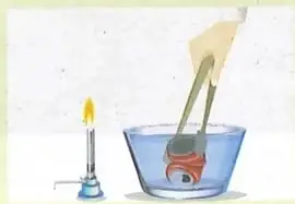 Figura 4 de Ciencias Naturales 9° · 2025