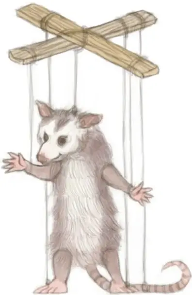 Marioneta de tlacuache (zarigüeya con hocico blanco) suspendida de hilos atados a una cruceta de madera.