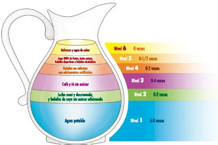 Ilustración de una jarra transparente dividida en seis franjas de colores que representan los niveles de la Jarra del Buen Beber, desde agua potable en la base hasta refrescos en la parte superior.
