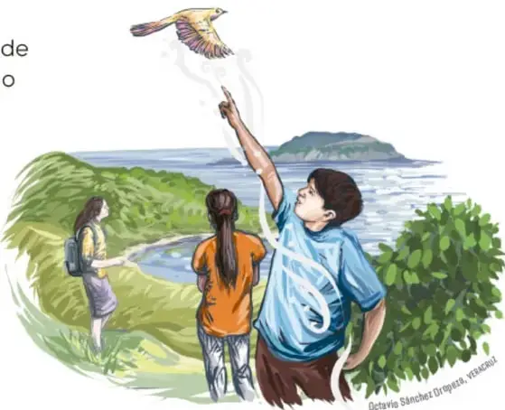 Ilustración de un niño con playera azul que levanta el brazo señalando a un pájaro que vuela; junto a él, dos compañeras observan el paisaje de costa y montañas. Crédito: Octavio Sánchez Oropeza, Veracruz.