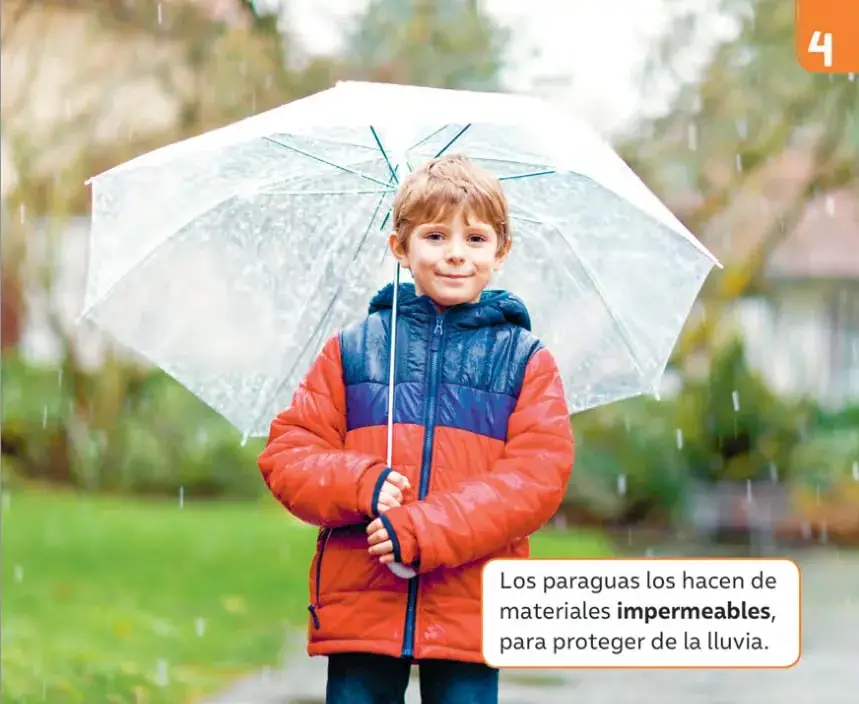 Ilustración de Francisca pensativa junto a una jaula de hámster sobre una mesa; debe elegir con qué material cubrirla.