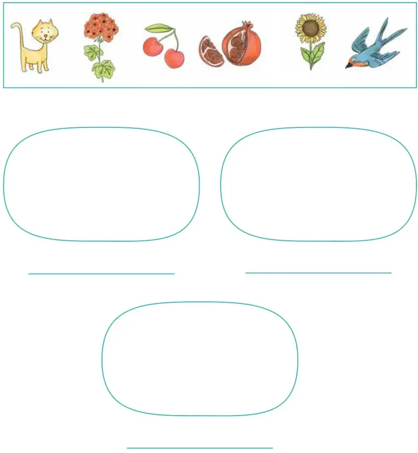 Seis dibujos en fila: gato, planta con flores, cerezas, granada, girasol y golondrina.