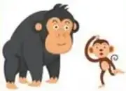 Imagen de un gorila y un mono para ilustrar 'menos inquieto que'