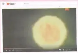 Figura 2 de Ciencias Naturales 10° · 2025