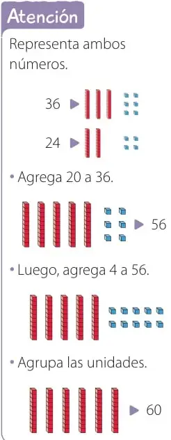 Representación con material base 10: 36 se muestra con 3 barras de decenas y 6 cubos de unidades; 24 con 2 barras y 4 cubos. Al agregar 20 a 36 quedan 5 barras y 6 unidades (56); al agregar 4 unidades se agrupan y quedan 6 barras (60).