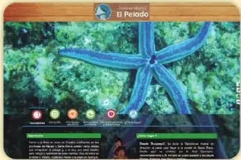Captura de una pantalla con recuadros que muestran nombres de áreas protegidas de la región Costa.