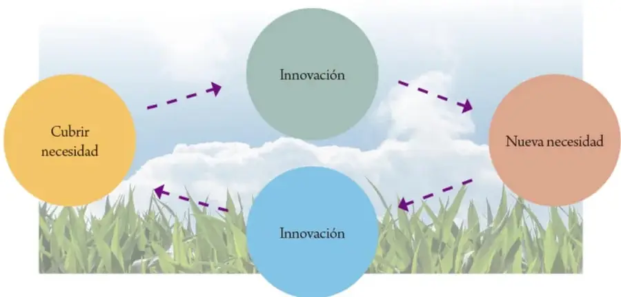 Diagrama de cuatro círculos conectados por flechas discontinuas sobre una foto de nubes y pasto: 'Cubrir necesidad' (amarillo), 'Innovación' (verde), 'Nueva necesidad' (rosa) y 'Innovación' (azul), formando un ciclo.