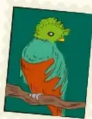 Estampilla ilustrada con un pájaro verde y rojo (cotorra) posado en una rama, sobre fondo verde oscuro.