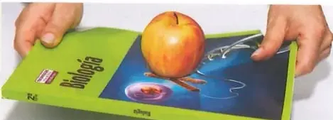 Figura 3 de Ciencias Naturales 9° · 2025