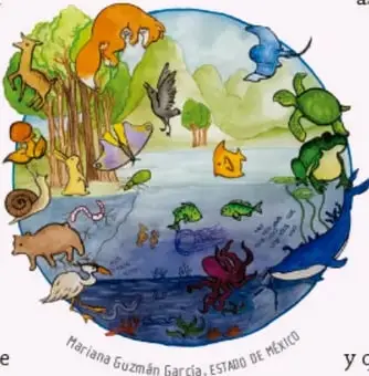 Círculo con diversidad de animales terrestres y acuáticos, plantas y microorganismos representando un ecosistema. Crédito: Mariana Guzmán García, Estado de México.