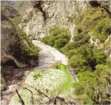 Valle de Guayllabamba con vegetación adaptada a períodos de sequía, representativo de un clima temperado y seco.