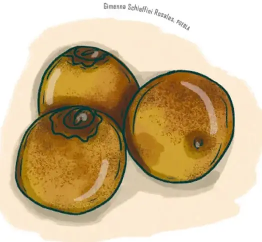 El enano sonriente y de ojos grandes mientras tres cocoyoles caen o rebotan sobre su cabeza, de la que sale un mechón de pelo oscuro donde se aprecia el disco; trazos amarillos sugieren los golpes.