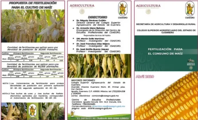 Tres trípticos sobre fertilización y agricultura del maíz, con textos e imágenes.