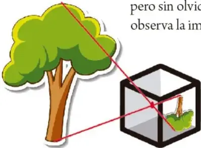 Árbol verde con tronco café del que salen rayos rojos hacia una caja cúbica abierta que representa la cámara oscura; dentro se ve la imagen invertida del árbol.