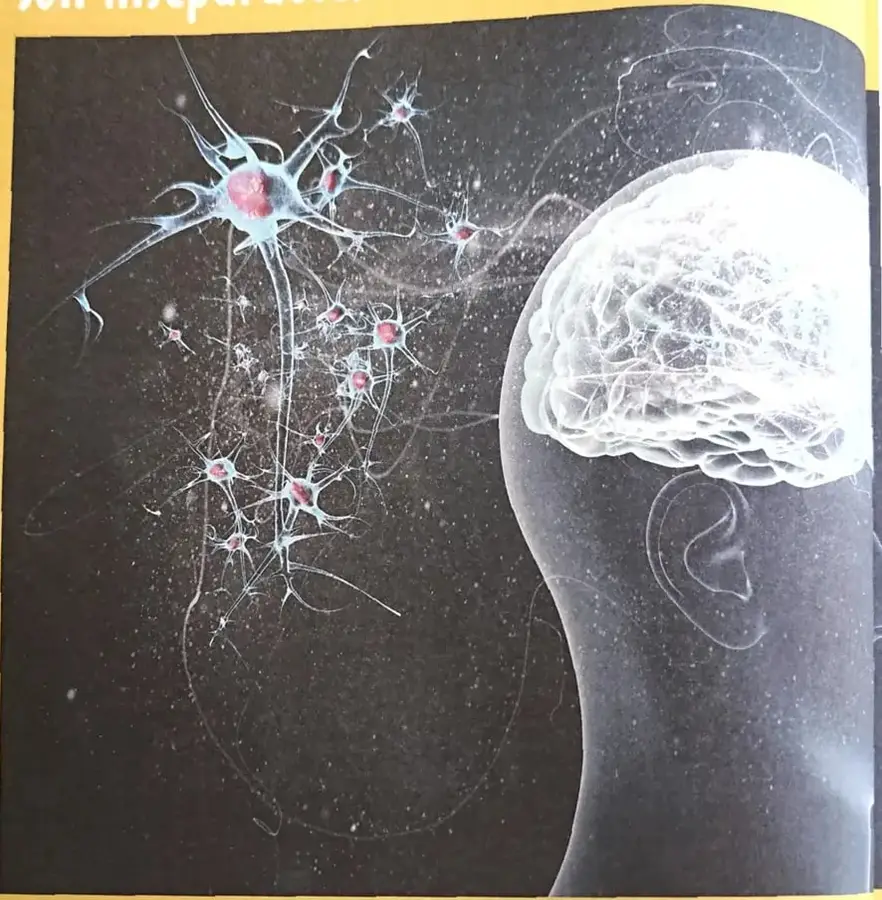 Imagen artística de un cerebro y varias neuronas conectadas, relacionada con el lenguaje, el pensamiento y la actividad mental.