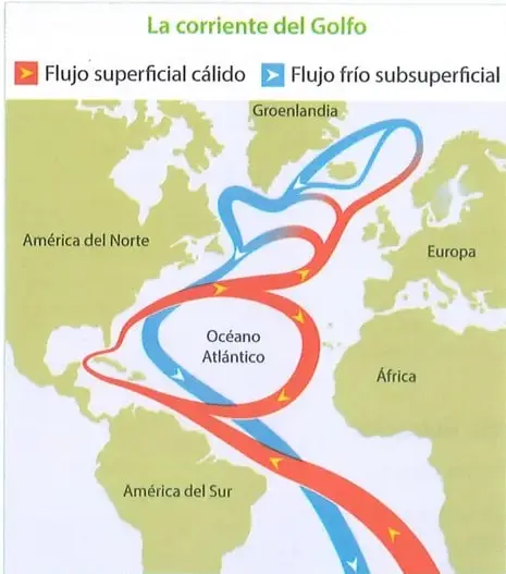 Figura 2 de Ciencias Naturales 9° · 2025