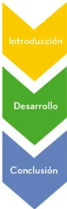 Organizador gráfico de flechas apiladas (amarilla, verde y azul) que representan las tres secciones de la biografía: Introducción, Desarrollo y Conclusión, cada una con su descripción.