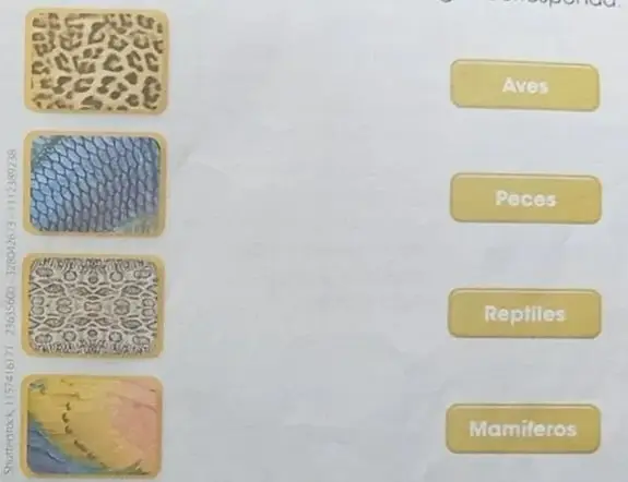 Figura 6 de Ciencias Naturales 3° · Egb 3 Ciencias Naturales 2024 · 2024
