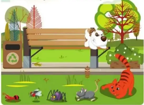 Parque con perro, gato, hormiga, mosca, araña, ratón.