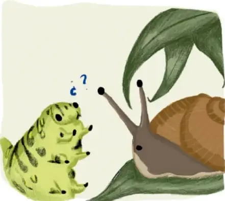Ilustración de una oruga verde con signos de interrogación y un caracol marrón sobre hojas verdes, personificando a Tlali Nantli y Simón.